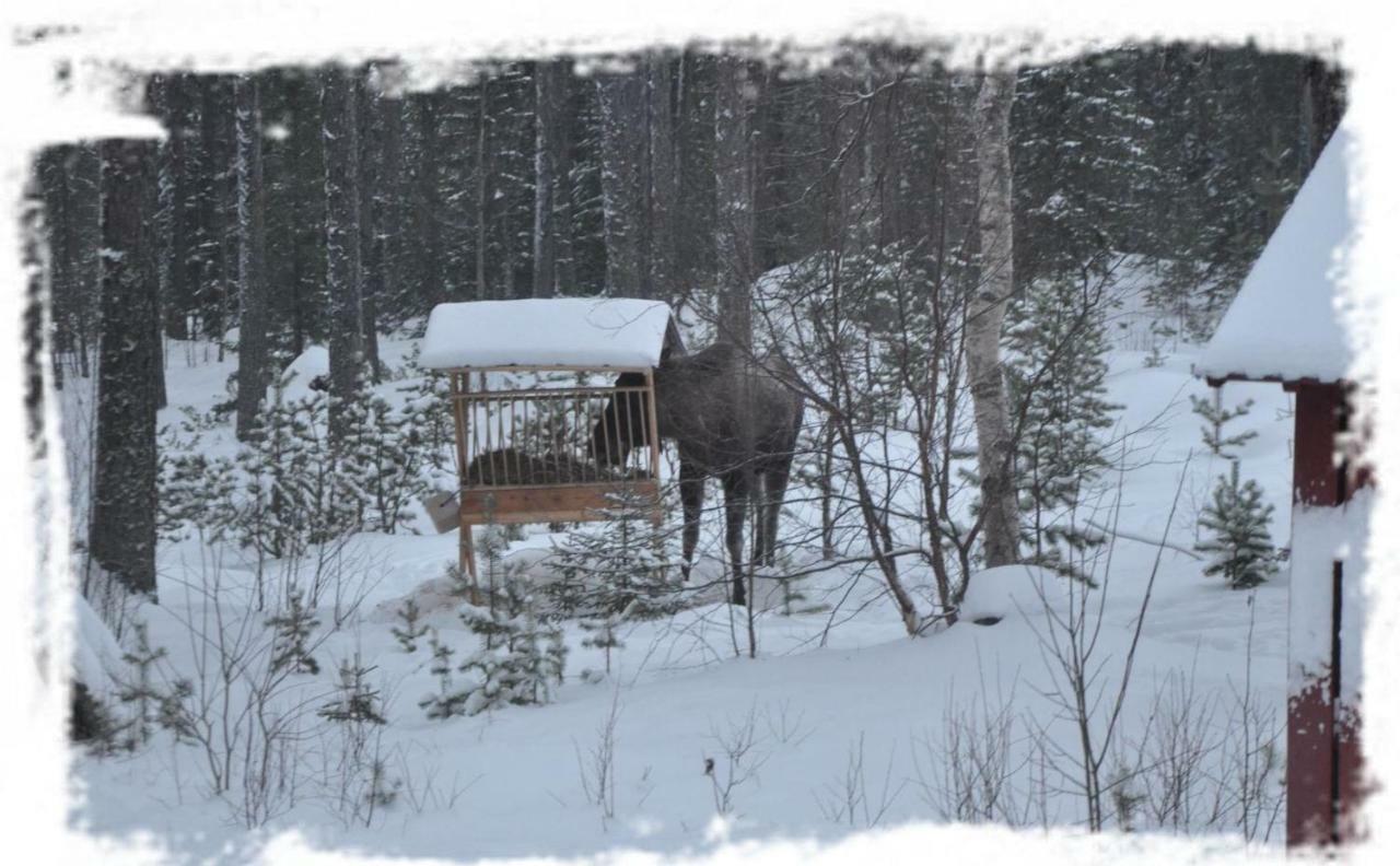 Haus Am Lachsfluss Villa Nedre Norra Ornas Bagian luar foto